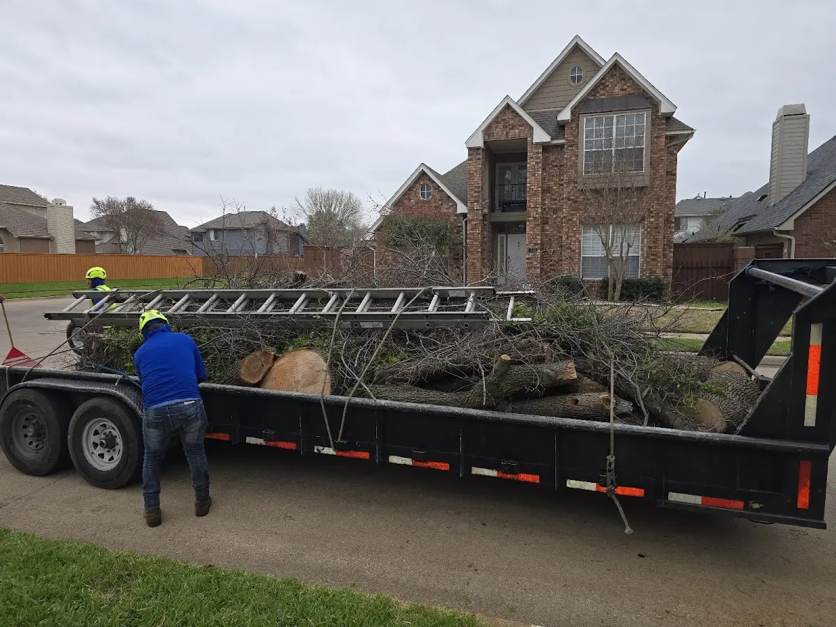 Expert Lot Clearing with proper safety equipment in Grandview